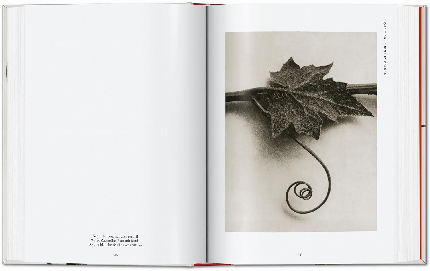 Karl Blossfeldt. The Complete Published Work. 40th Edt.