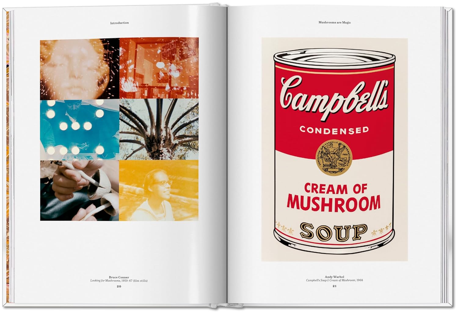 The Gourmand's Mushroom. A Collection of Stories & Recipes