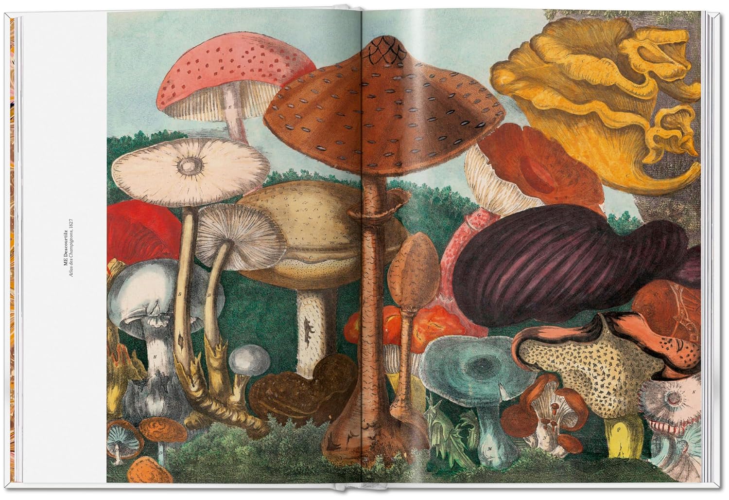 The Gourmand's Mushroom. A Collection of Stories & Recipes