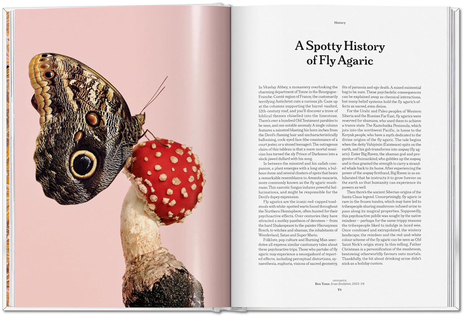 The Gourmand's Mushroom. A Collection of Stories & Recipes