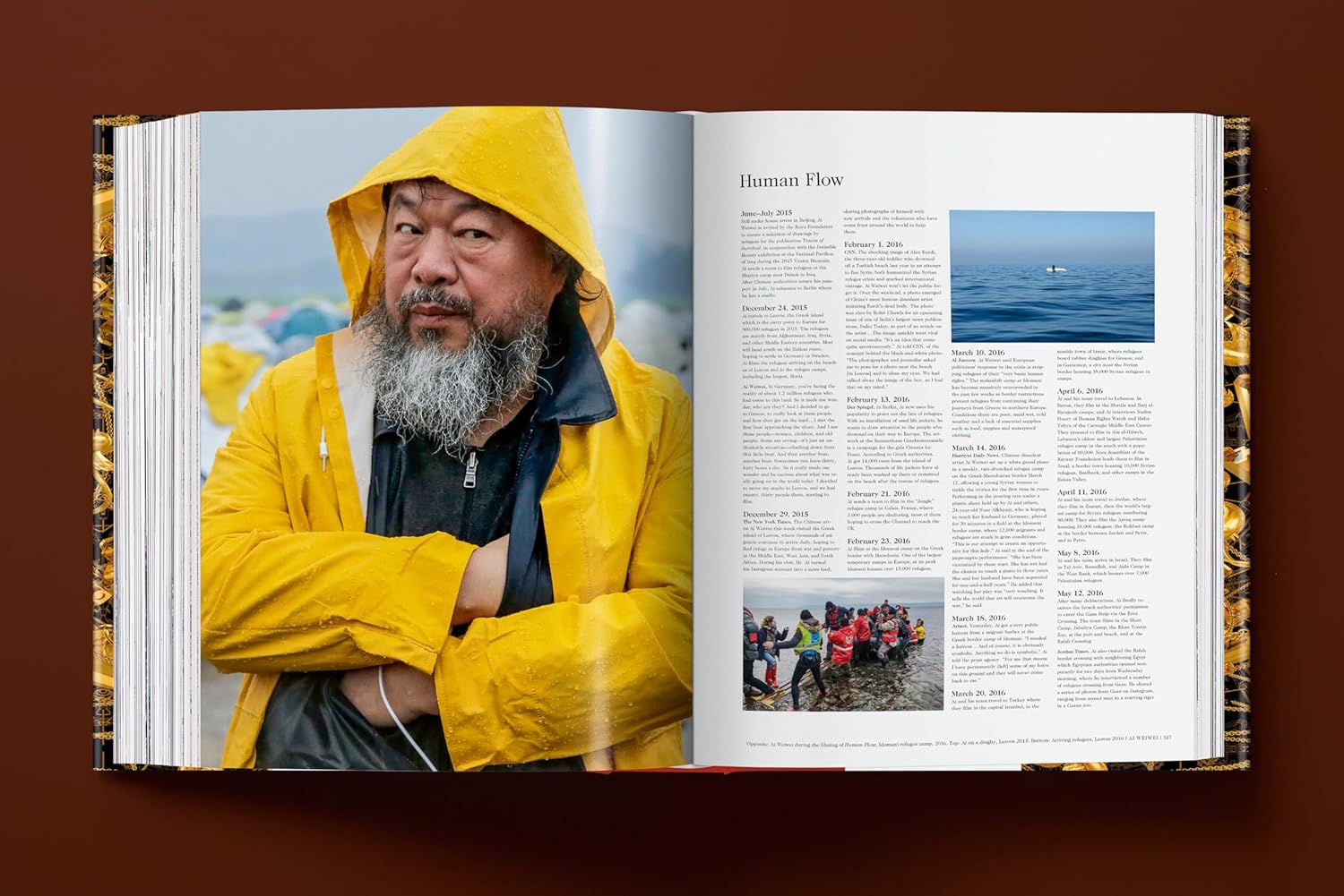 Ai Weiwei. Updated Edition