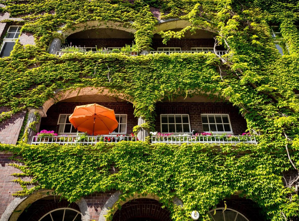 Urban Oasis: Parks Green Projects