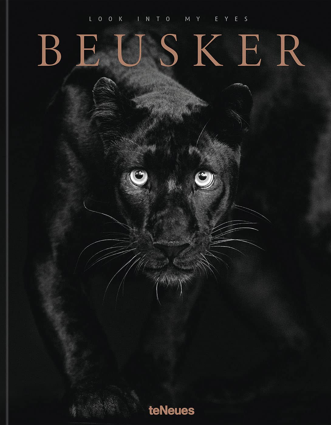 Beusker - Look into my Eyes
