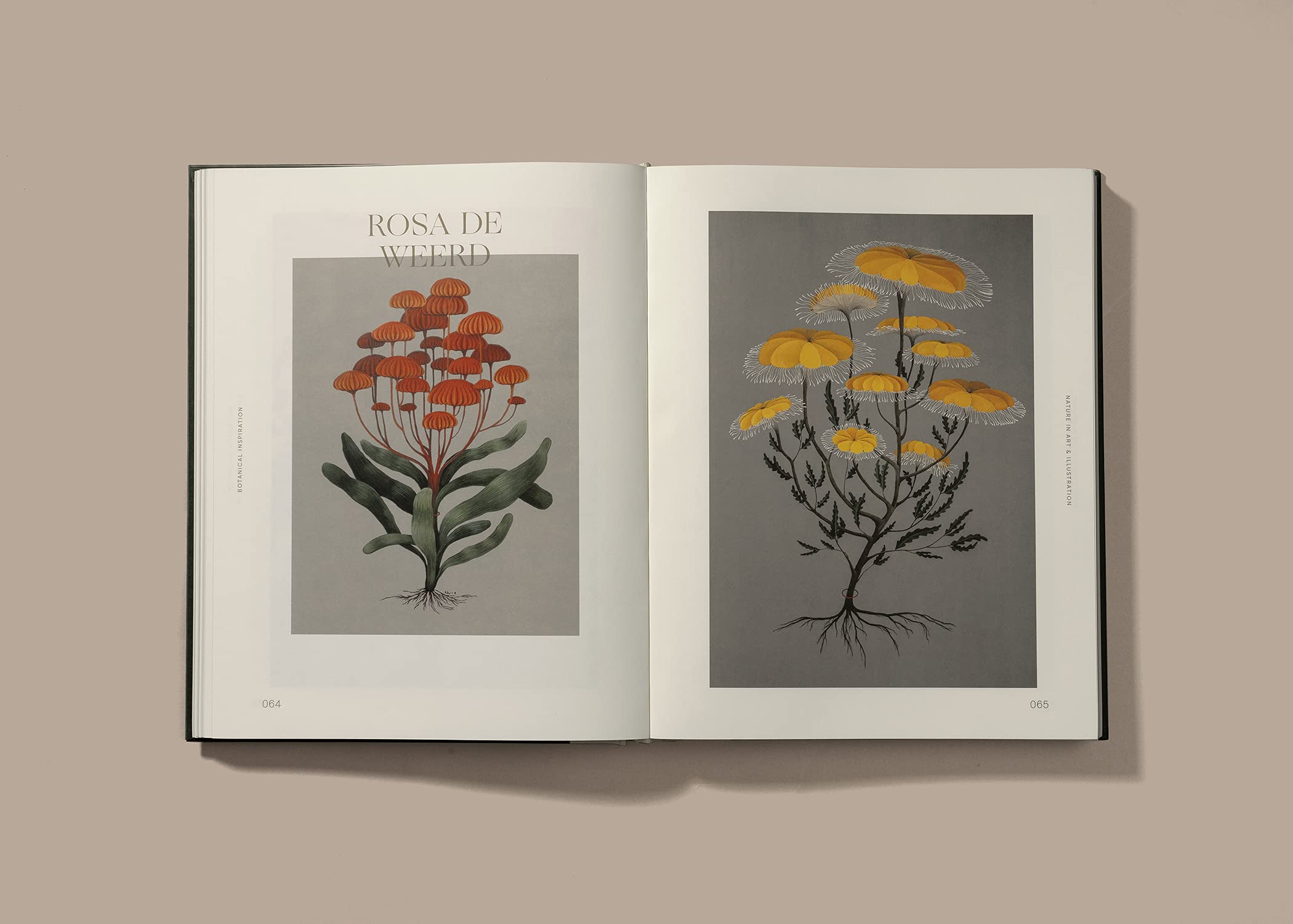 Botanical Inspiration