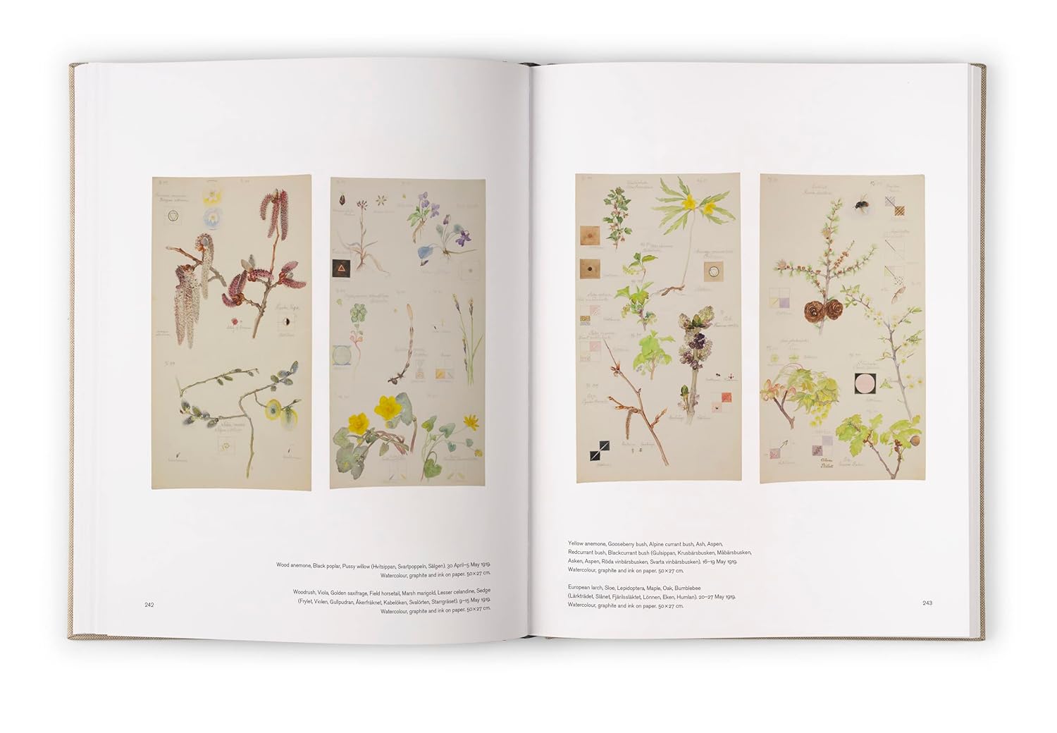 Hilma af Klint VII - Catalogue Raisonné
