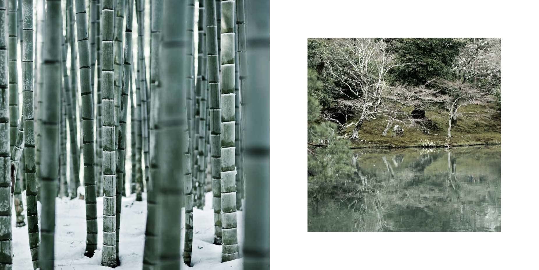 The Magic of Japanese Zen Gardens