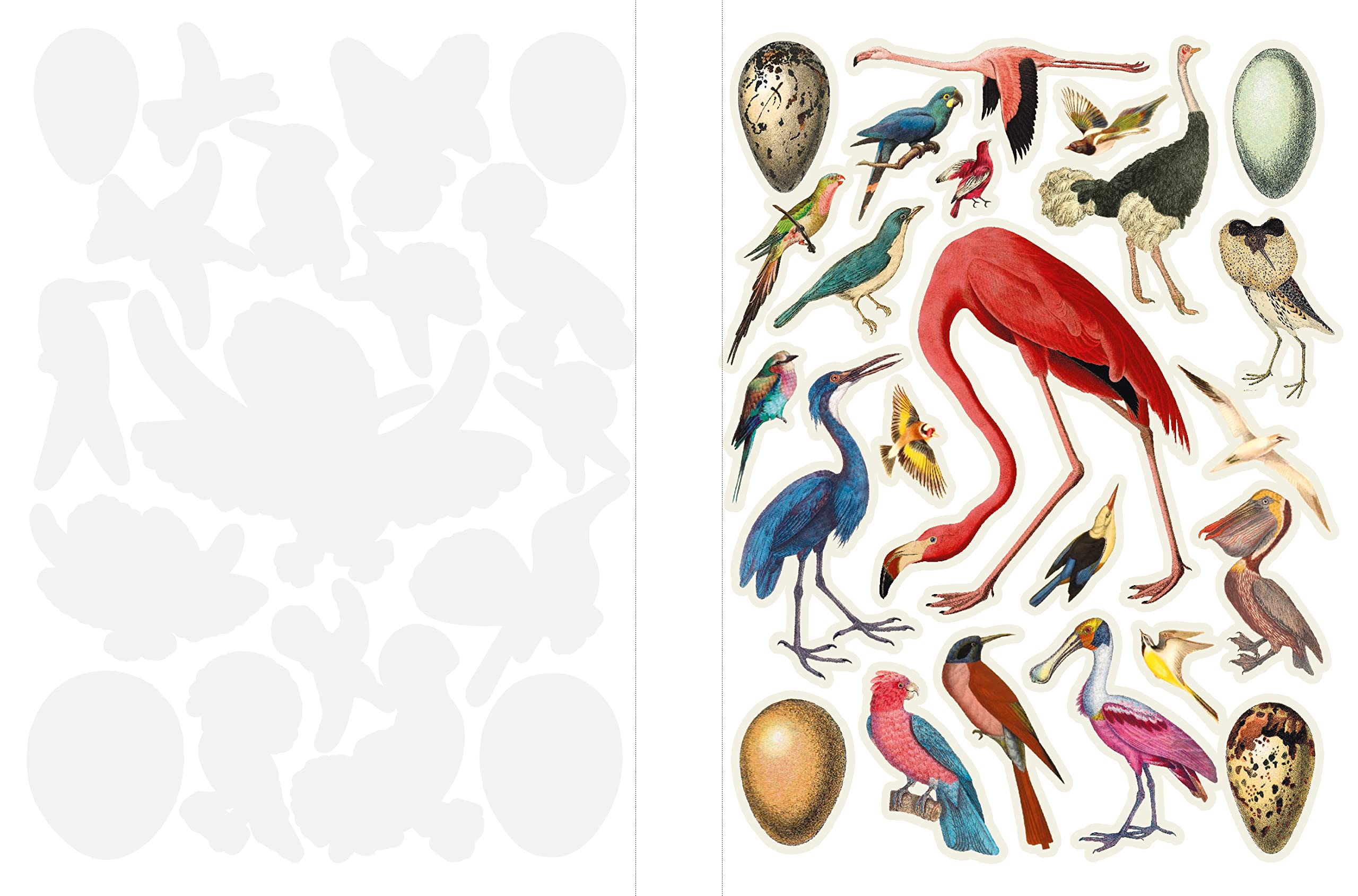 Cut Up This Book and Create You Own Wonderland