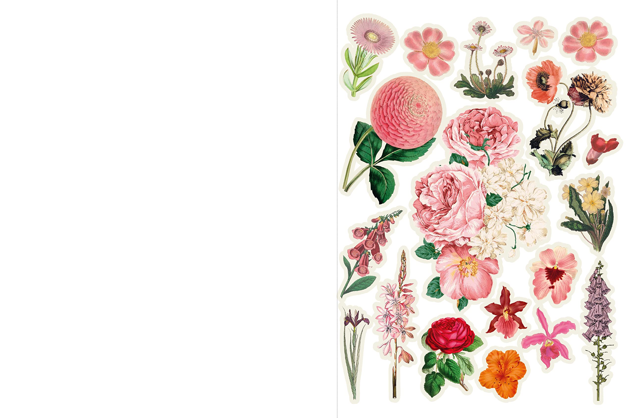 Cut Up This Book and Create You Own Wonderland