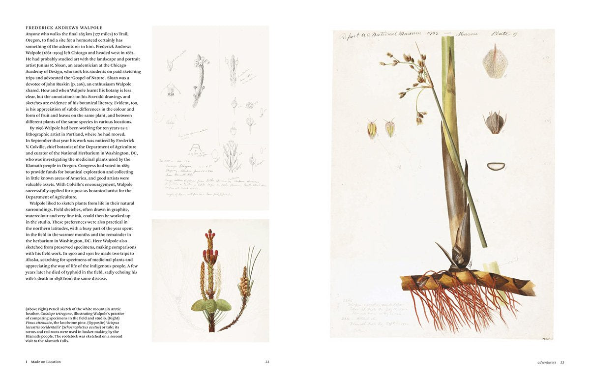 Botanical Sketchbooks