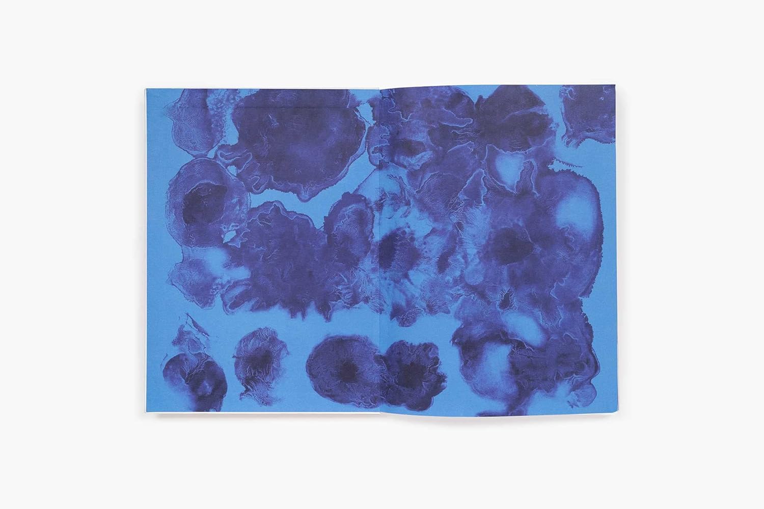 Ruth Asawa: The Journal