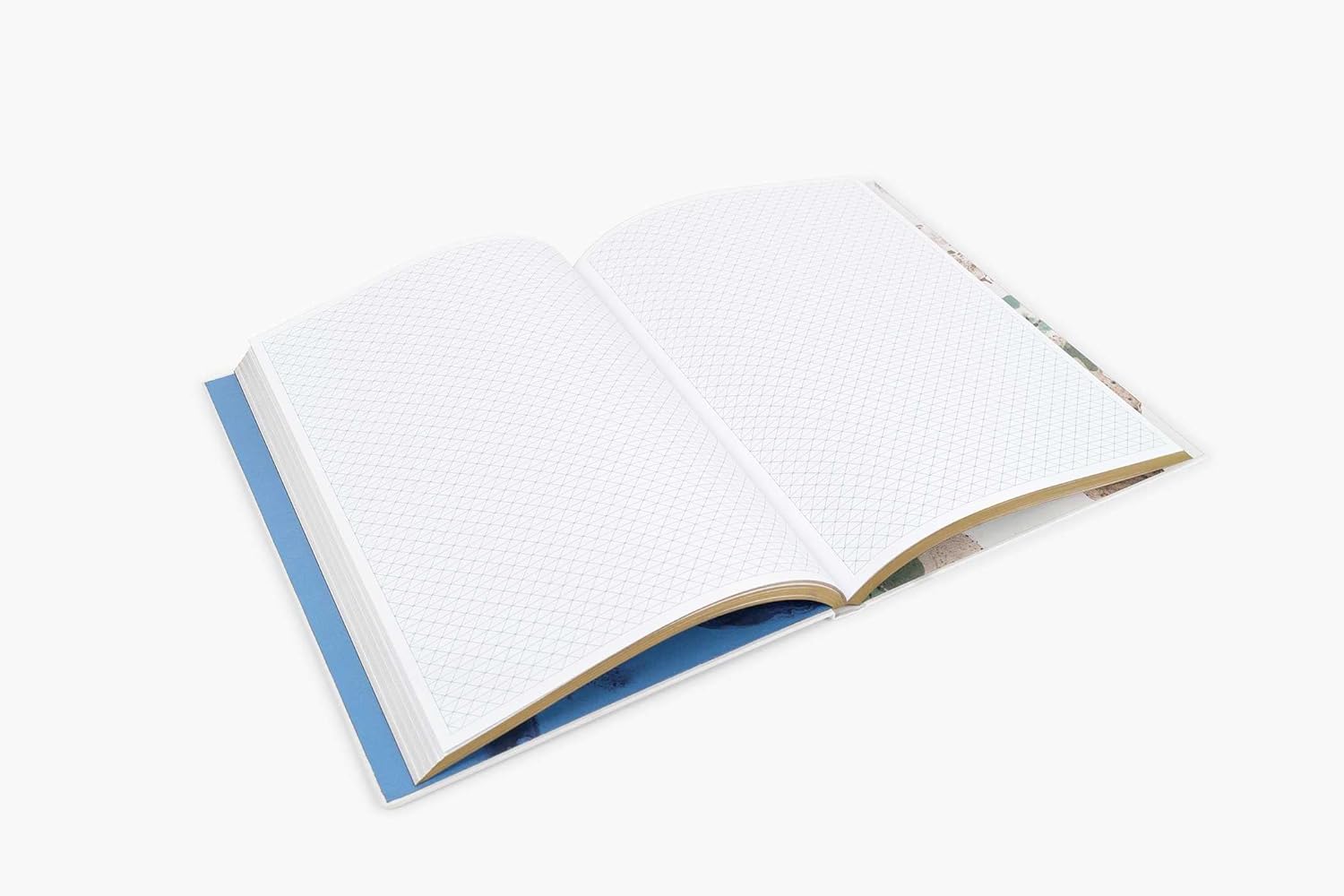 Ruth Asawa: The Journal