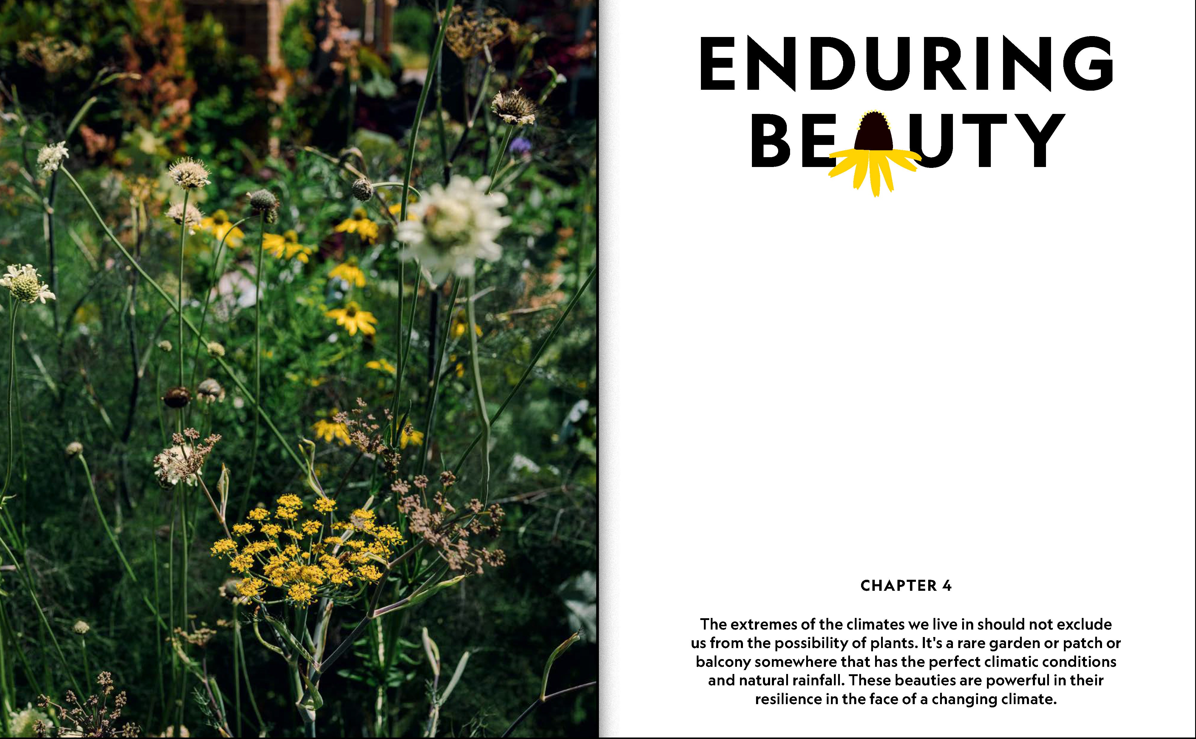 The Super Bloom Handbook