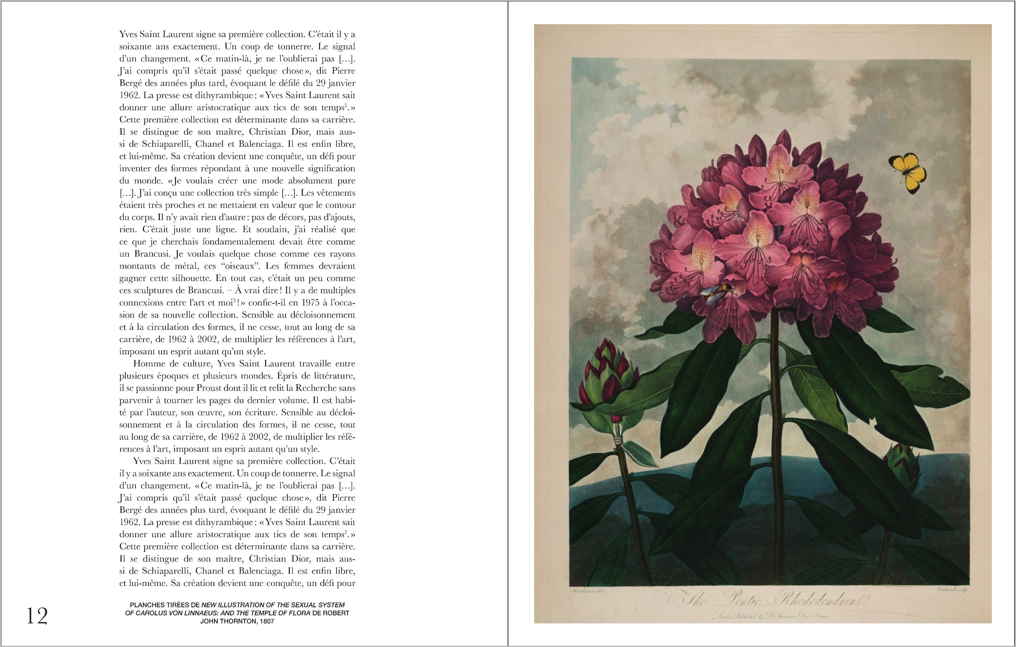 The Flowers of Yves Saint Laurent