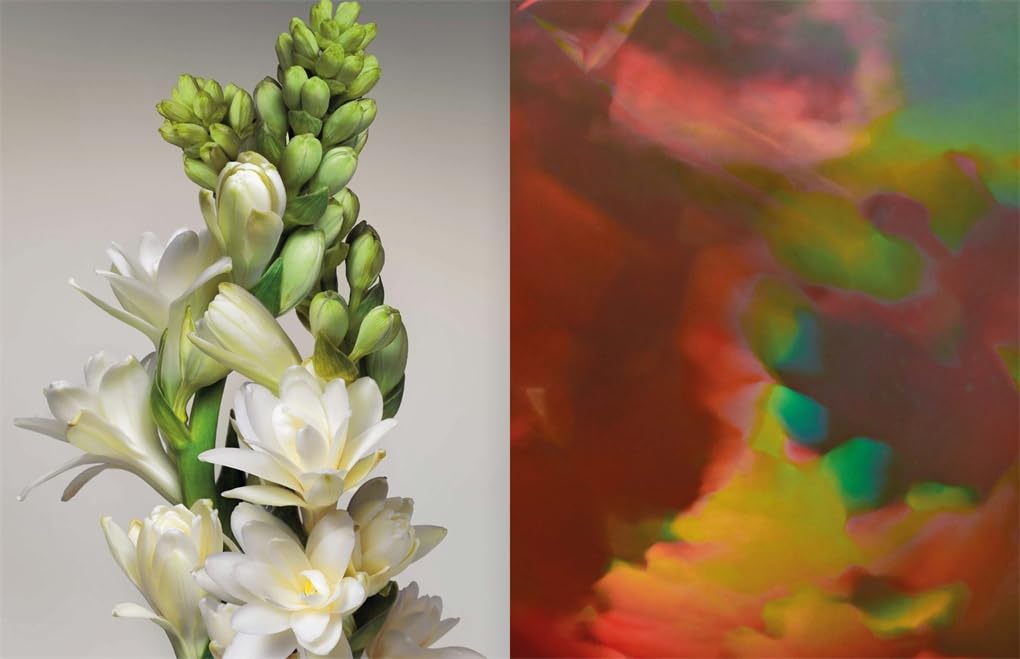 Louis Vuitton. The Perfume Atlas