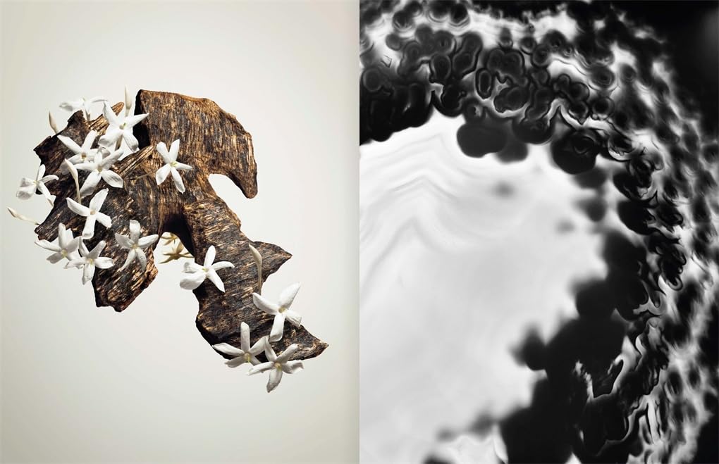 Louis Vuitton. The Perfume Atlas