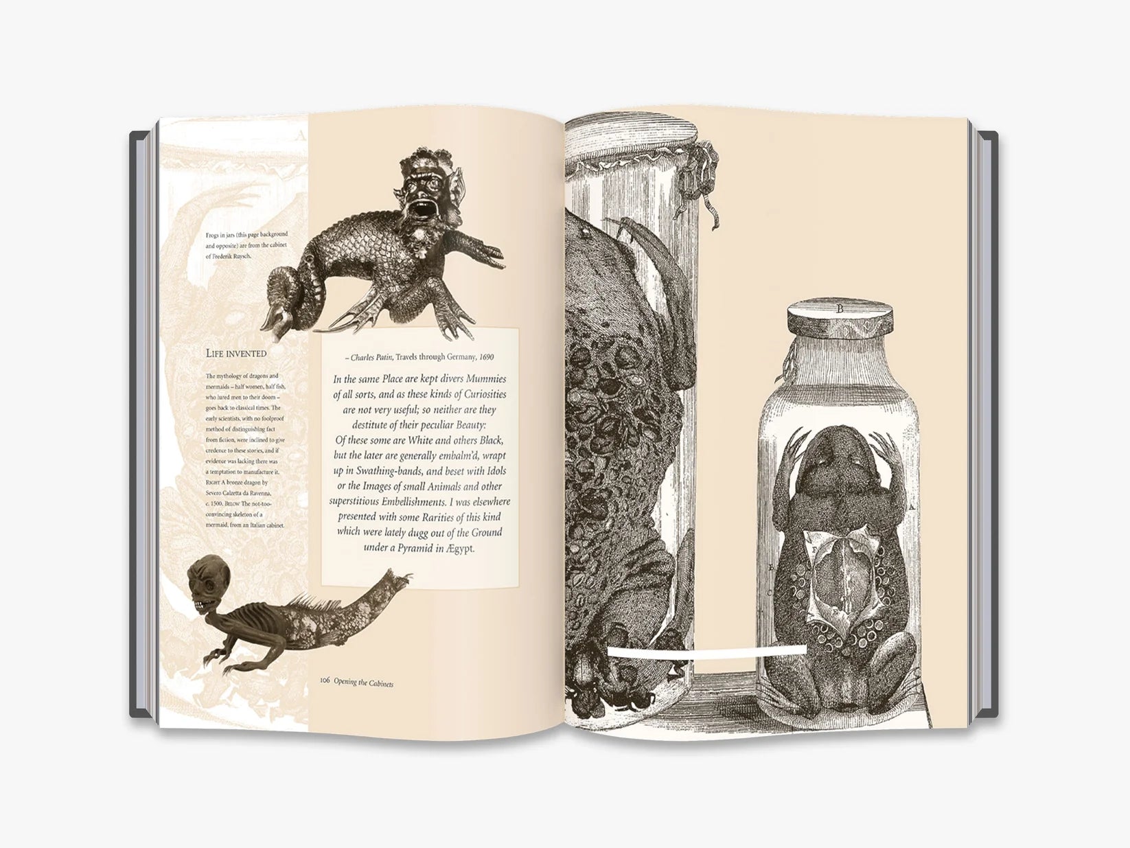 Cabinets of Curiosities