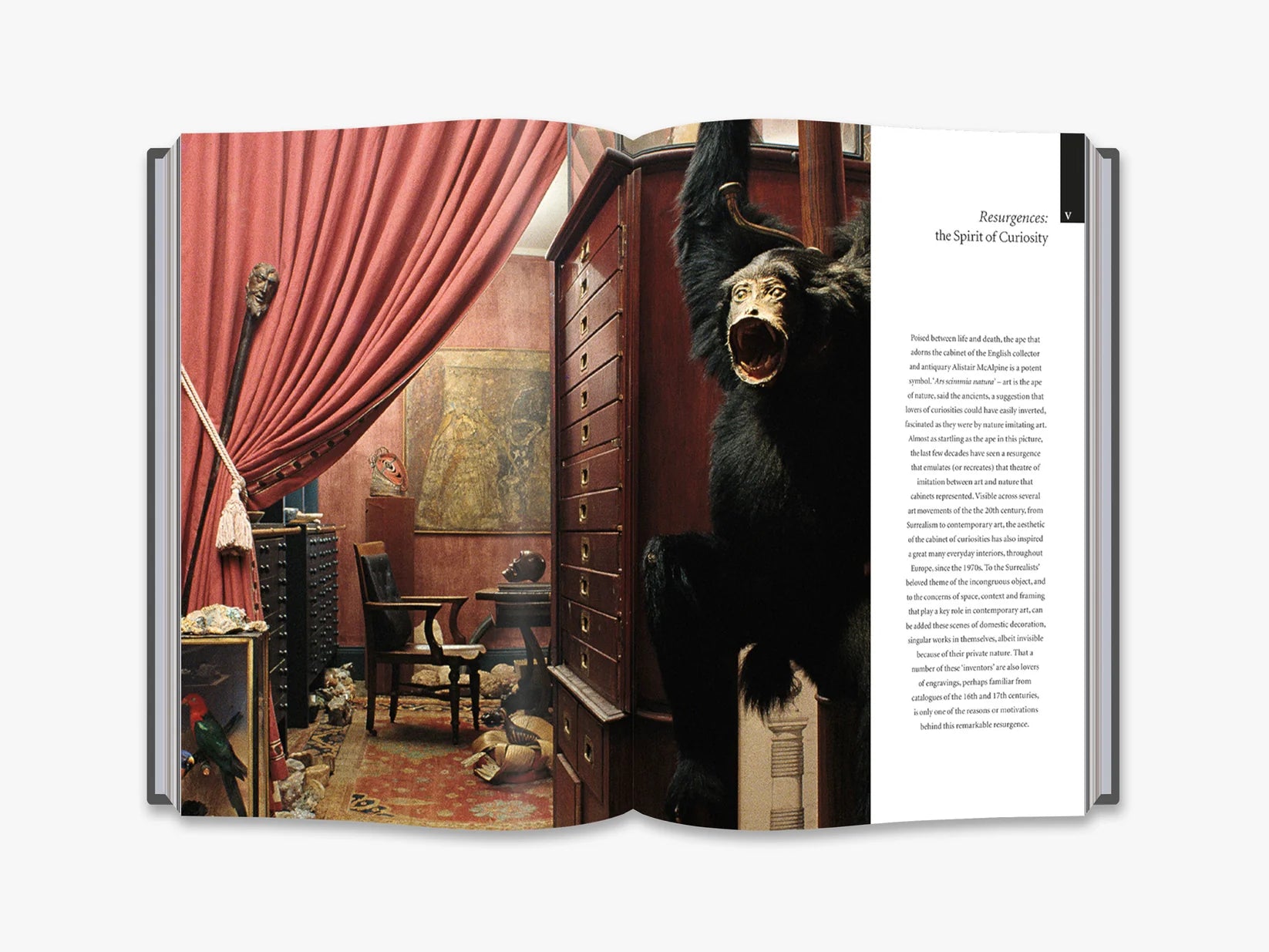 Cabinets of Curiosities