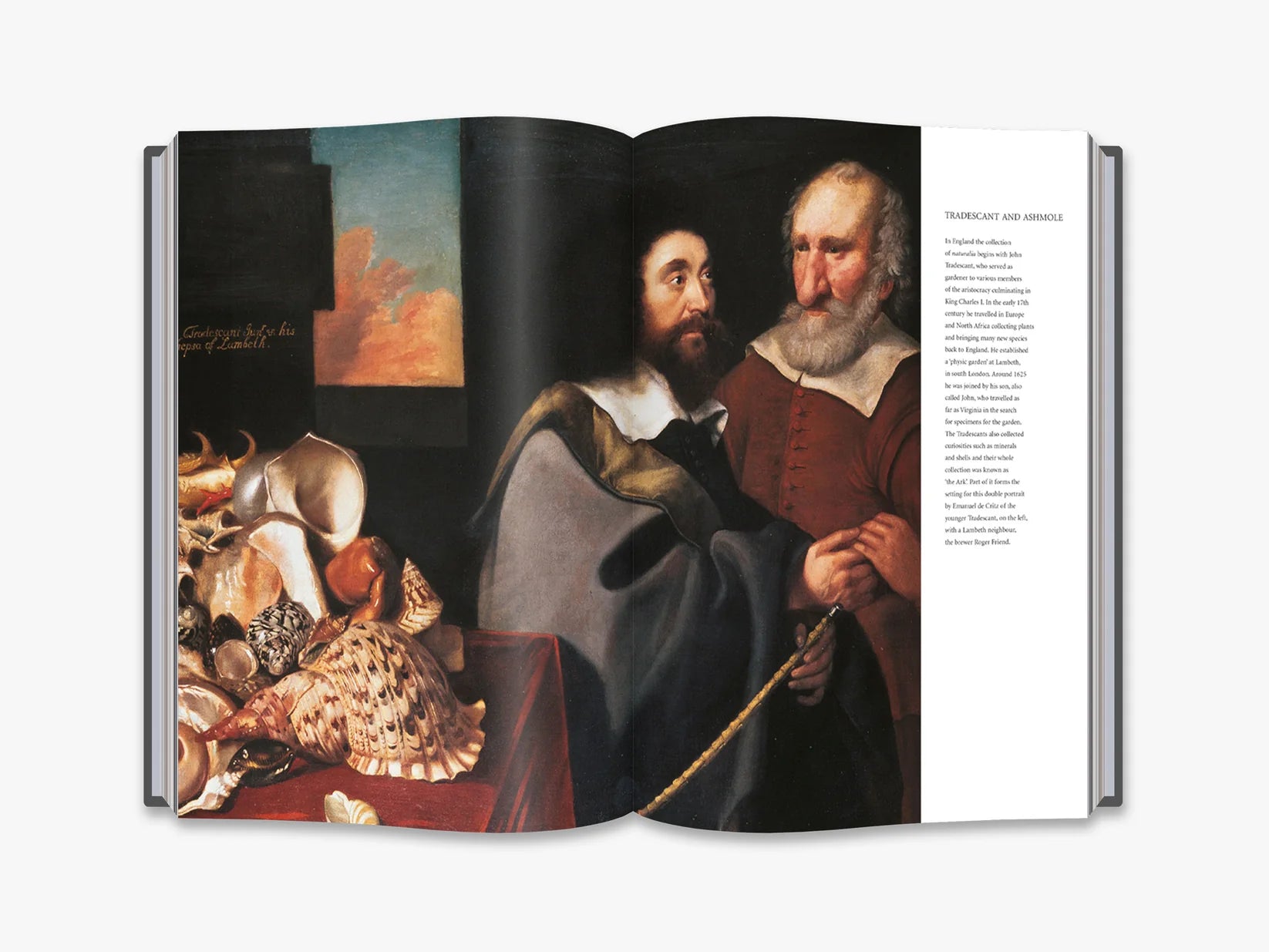 Cabinets of Curiosities