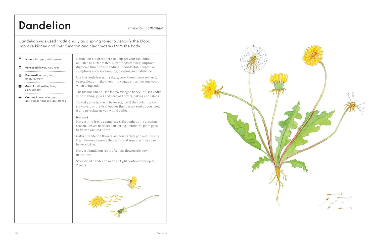 The Medicinal Garden