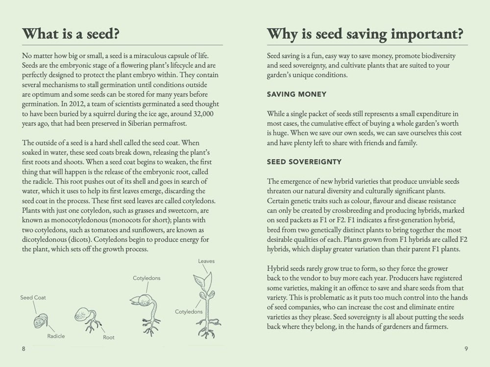 The Seed Collector's Kit