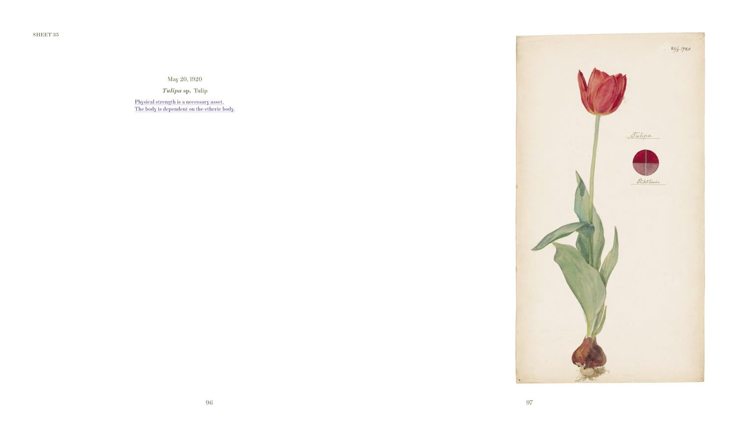 Hilma af Klint - What Stands Behind the Flowers