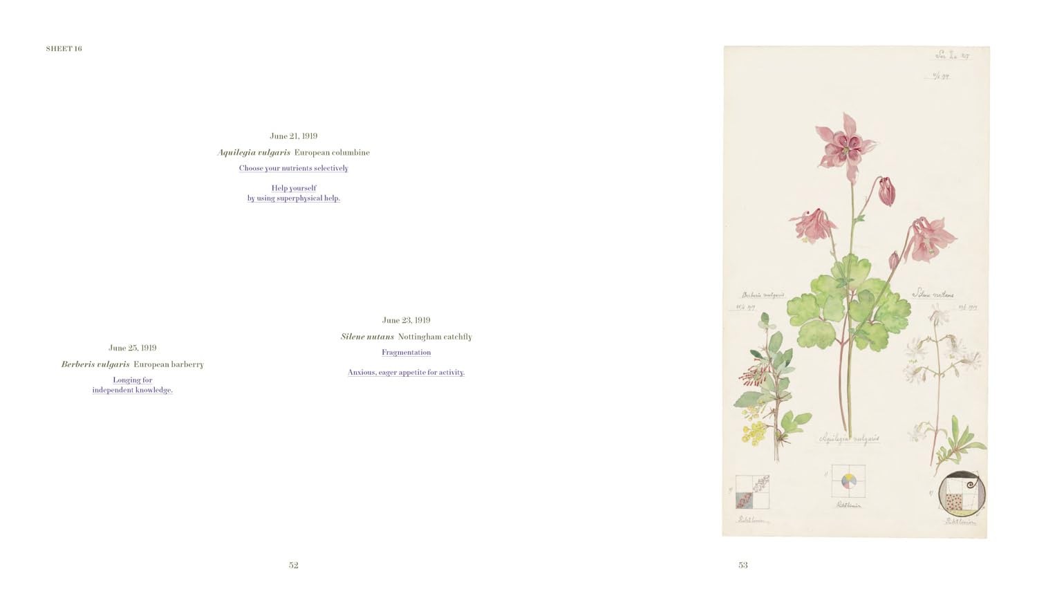 Hilma af Klint - What Stands Behind the Flowers