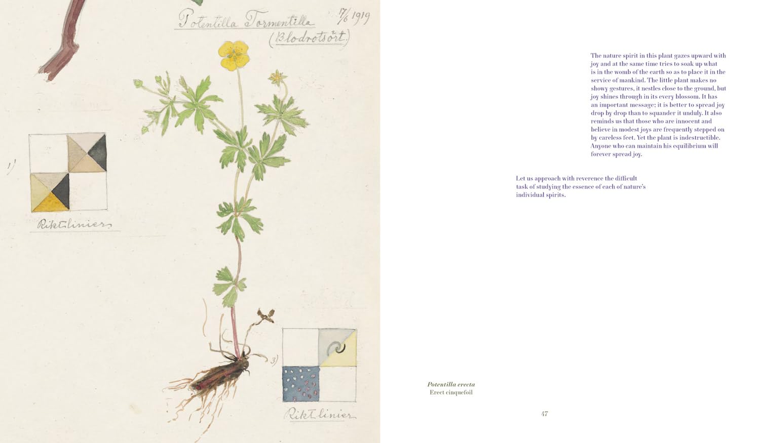 Hilma af Klint - What Stands Behind the Flowers