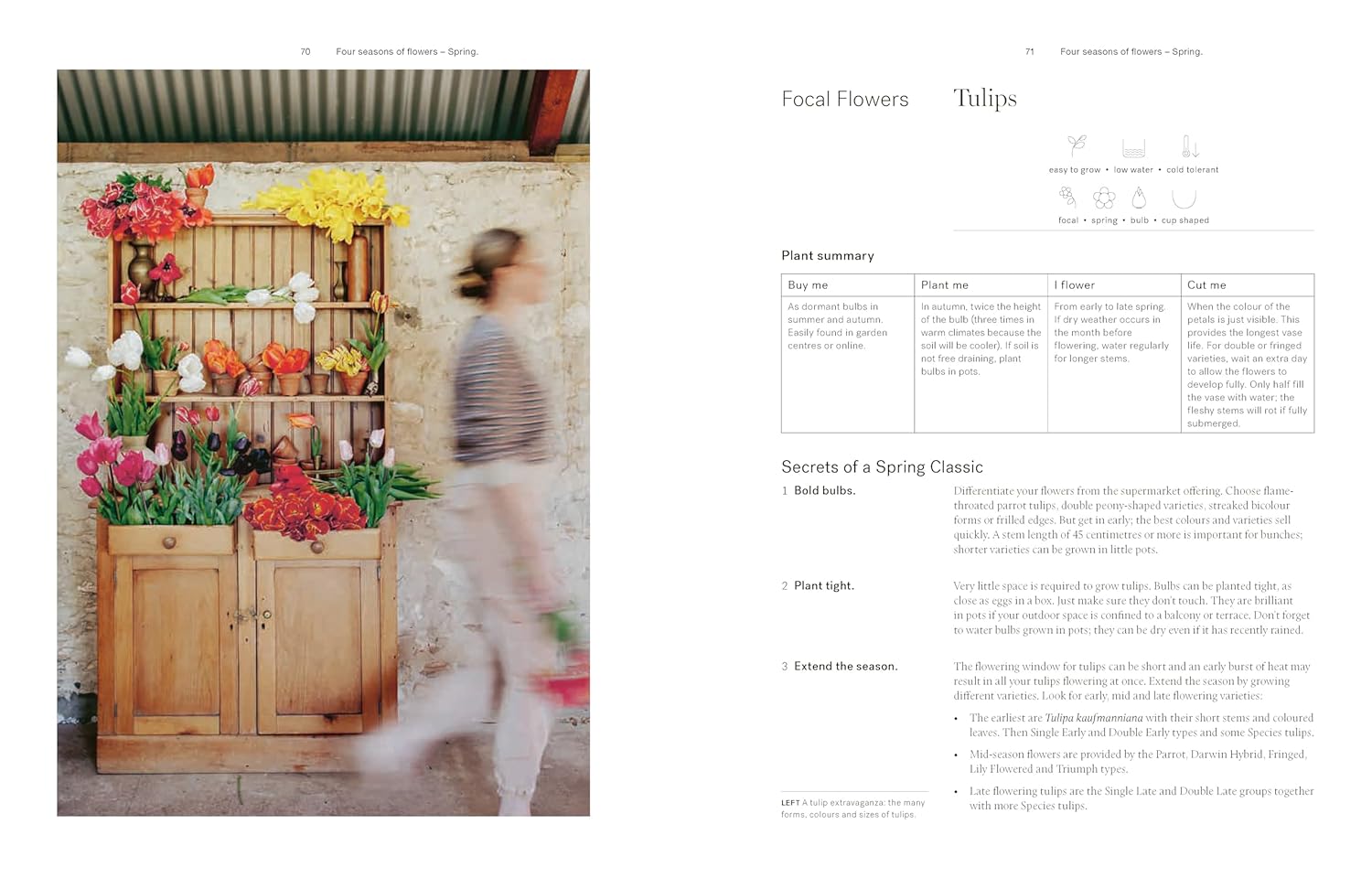 Secrets from the Flower Farm