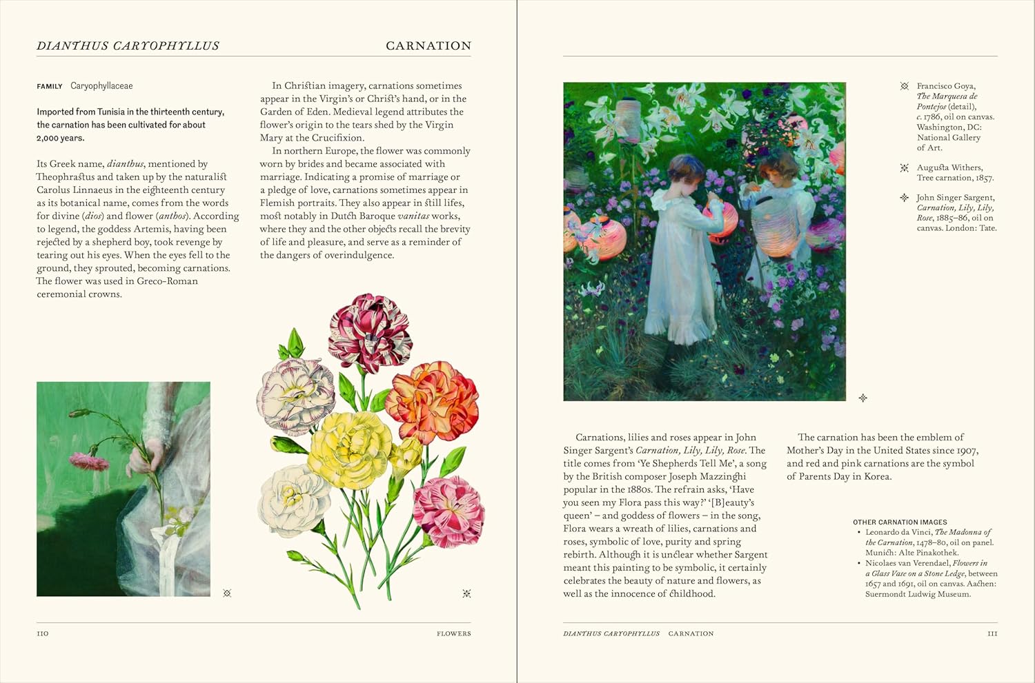 The Secret Language of Plants Art, Nature & Symbolism