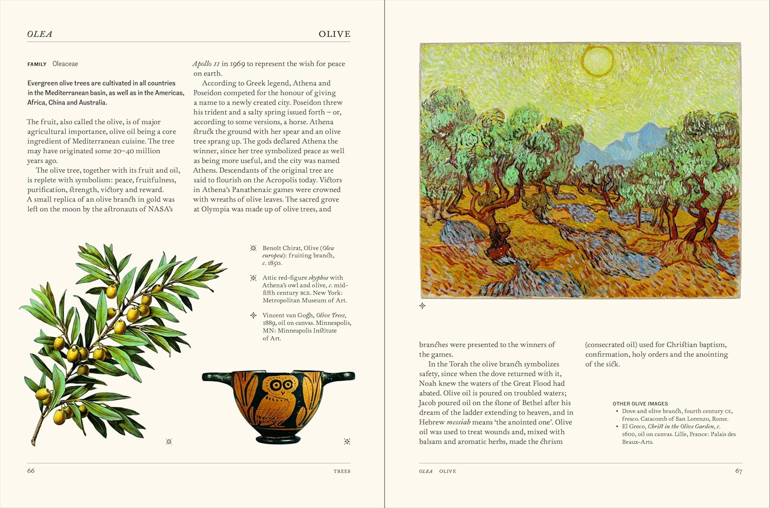 The Secret Language of Plants Art, Nature & Symbolism