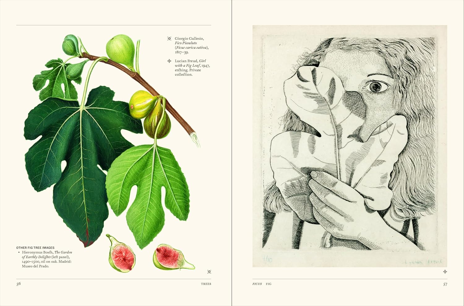 The Secret Language of Plants Art, Nature & Symbolism
