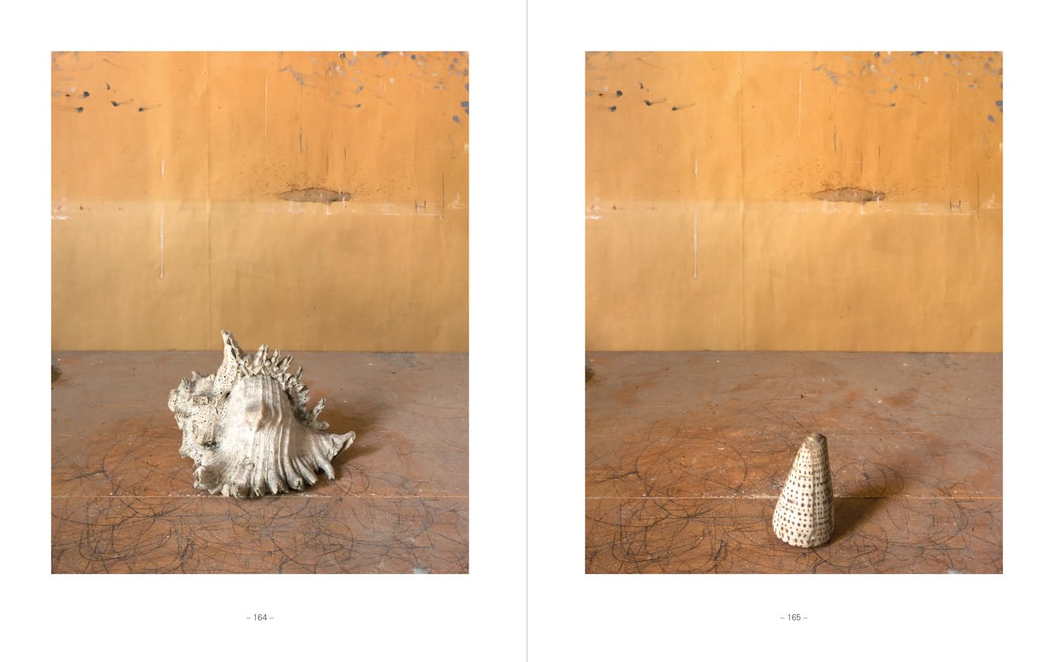 Joel Meyerowitz - Morandi's Objects