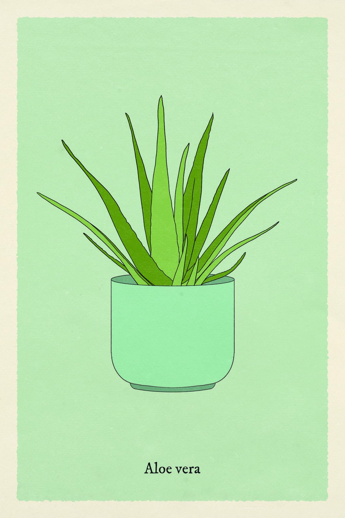 Houseplant Gardener in a Box