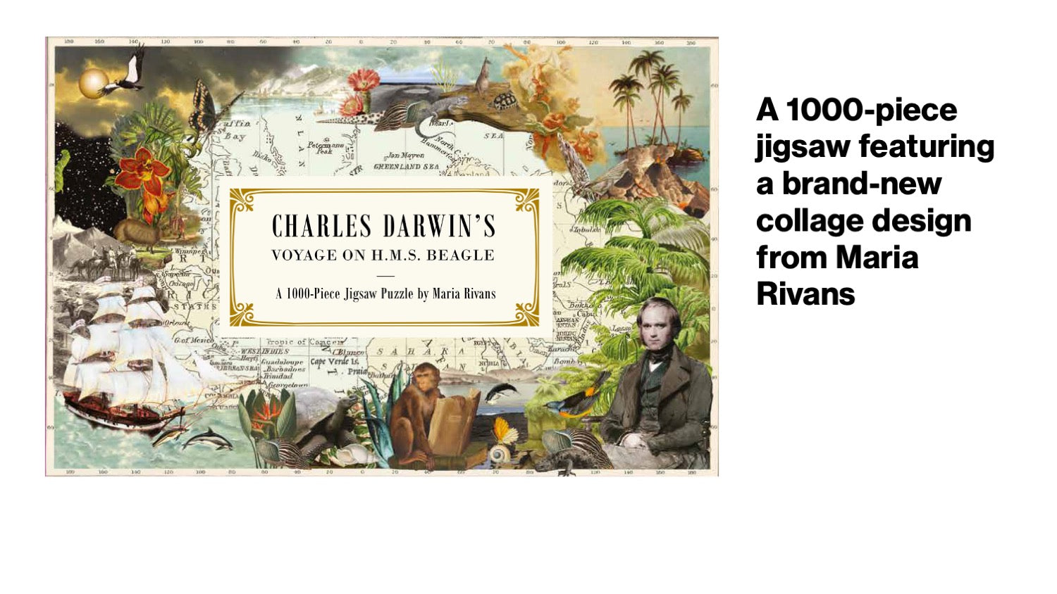 Charles Darwin's Voyage on H.M.S. Beagle 1000 pcs. Puzzle
