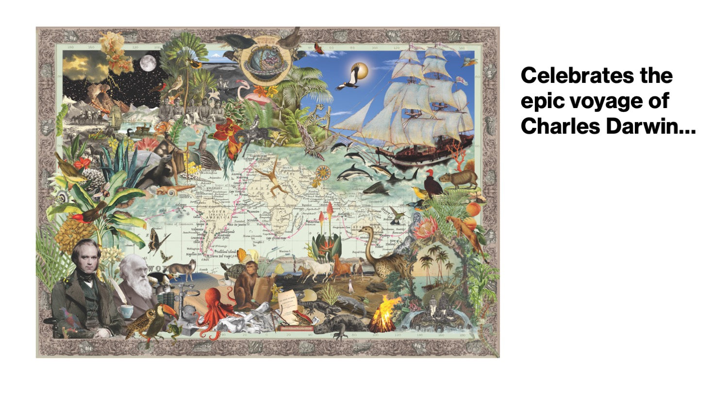 Charles Darwin's Voyage on H.M.S. Beagle 1000 pcs. Puzzle