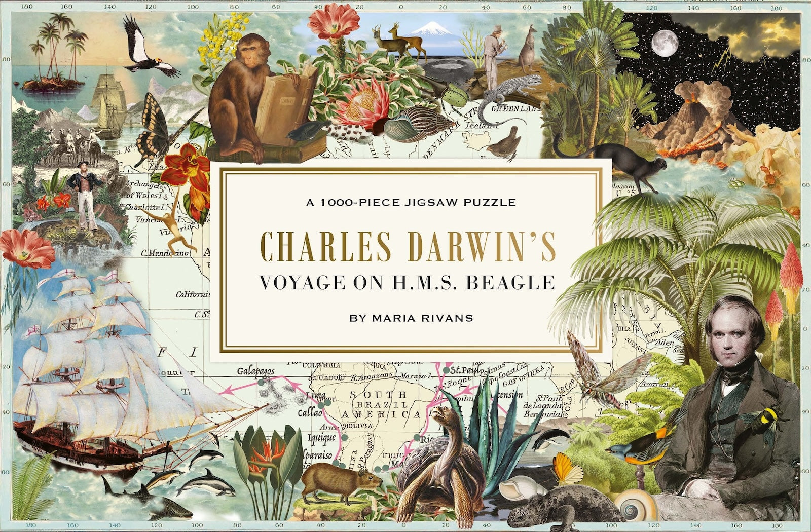 Charles Darwin's Voyage on H.M.S. Beagle 1000 pcs. Puzzle