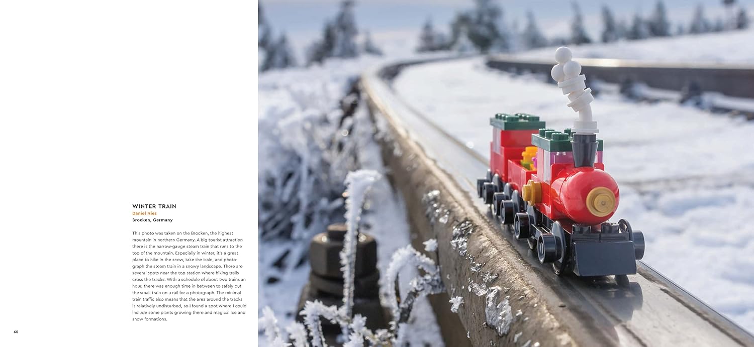 LEGO In Focus