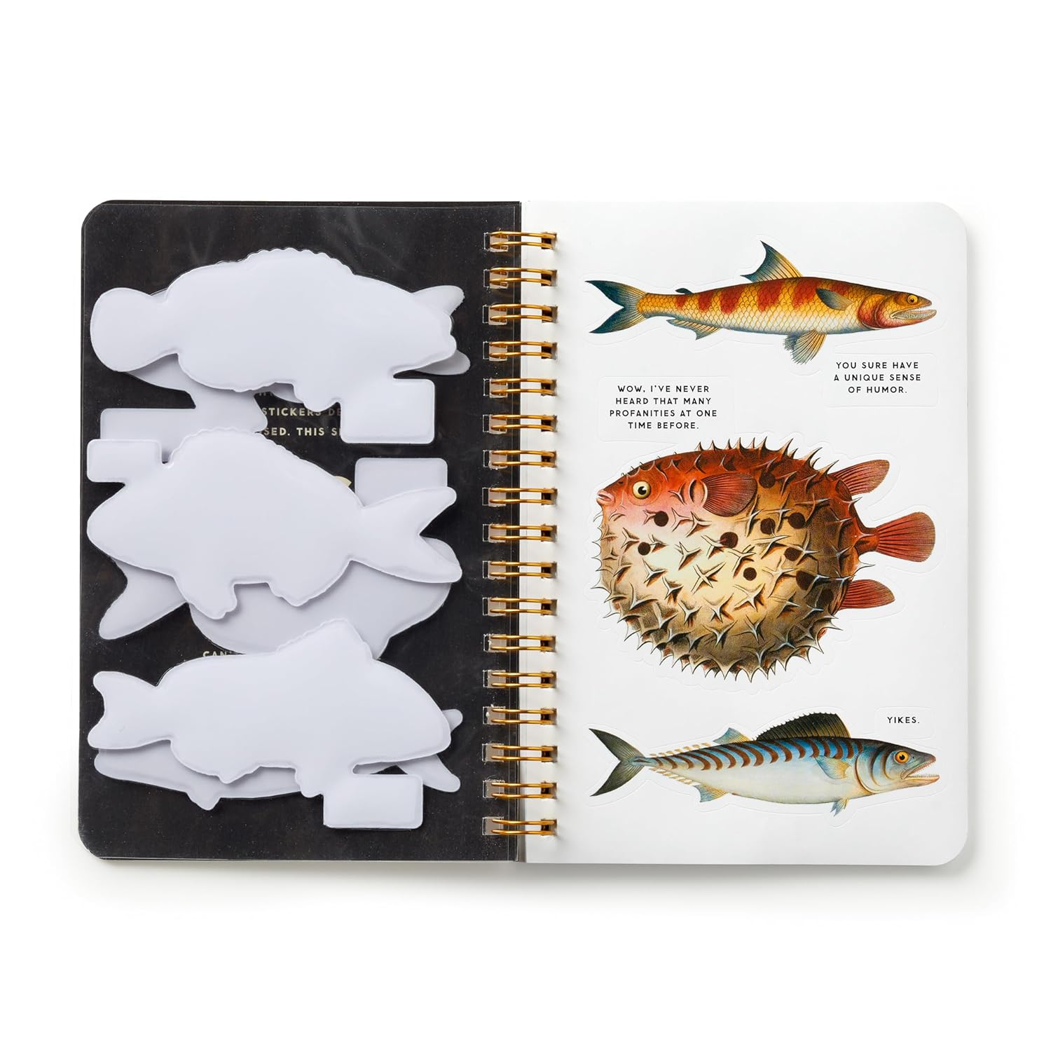 Judgy Fish Sticker Book