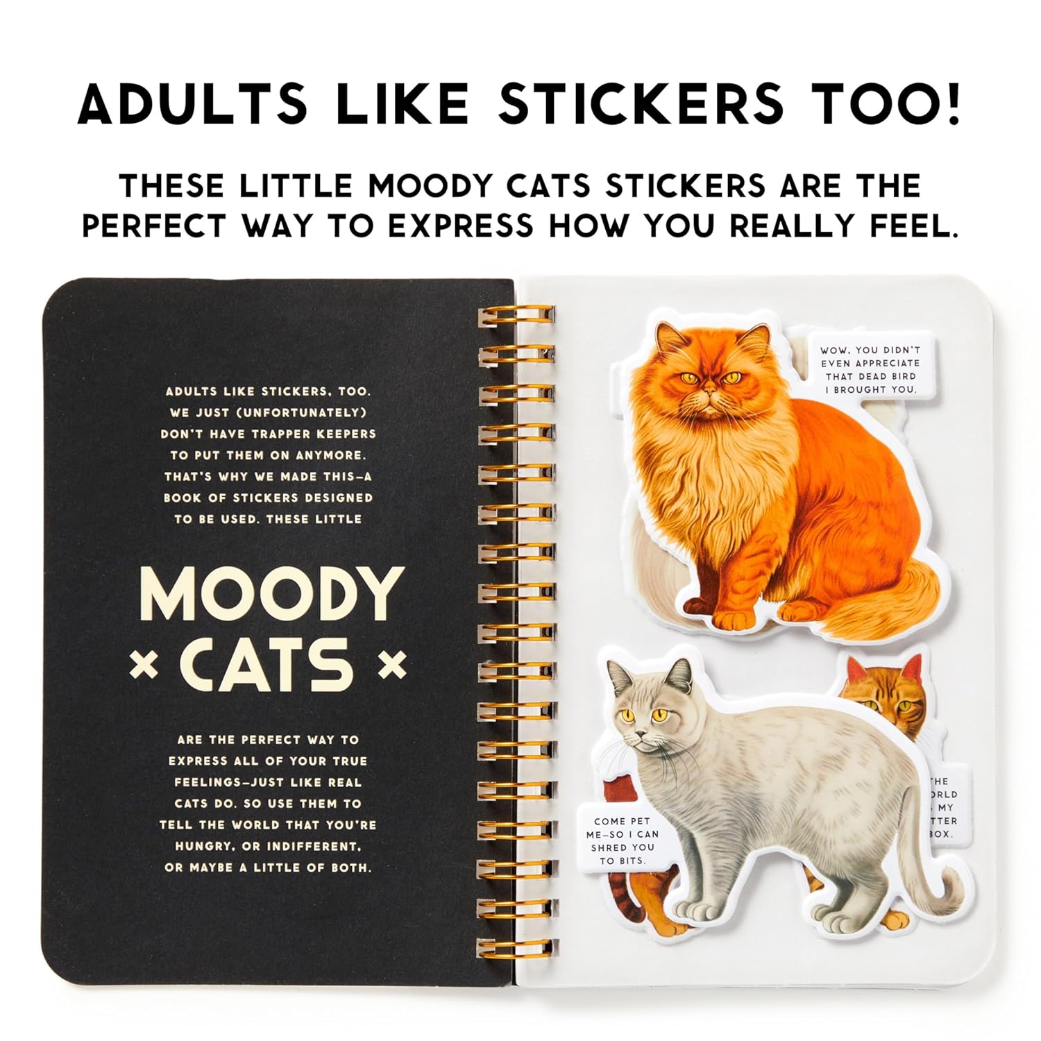 Moody Cats Sticker Book