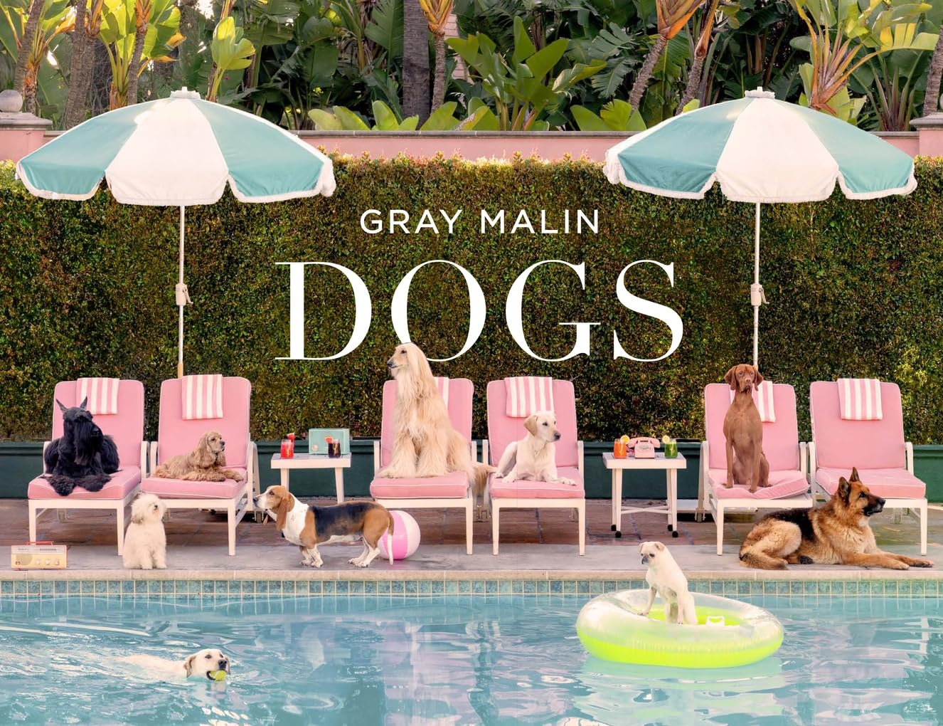 Gray Malin - Dogs