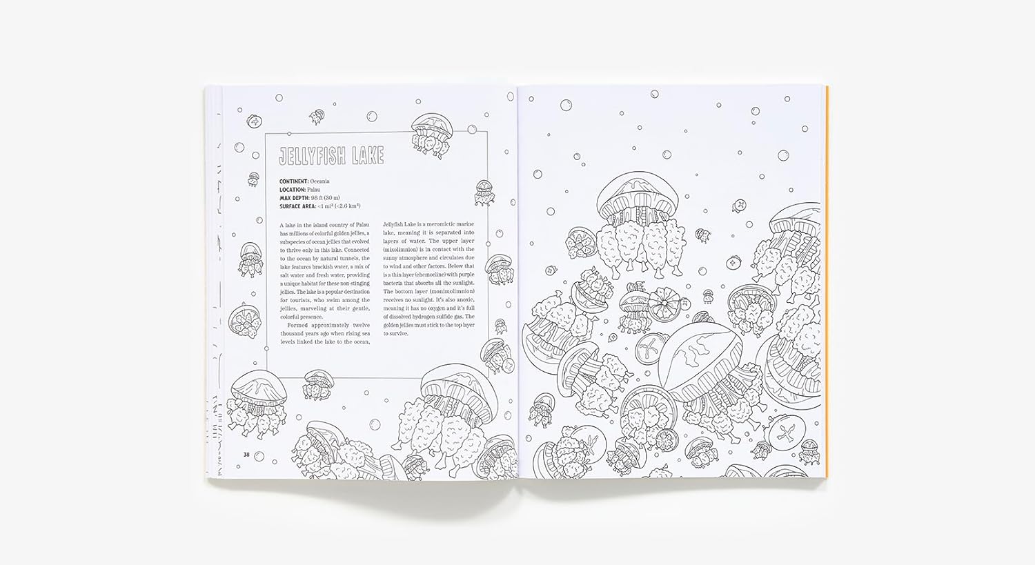 Spooky Lakes Coloring Book