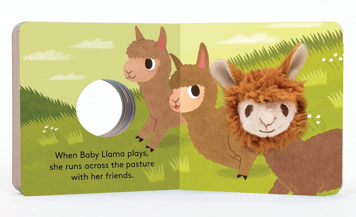 Baby Llama: Finger Puppet Book