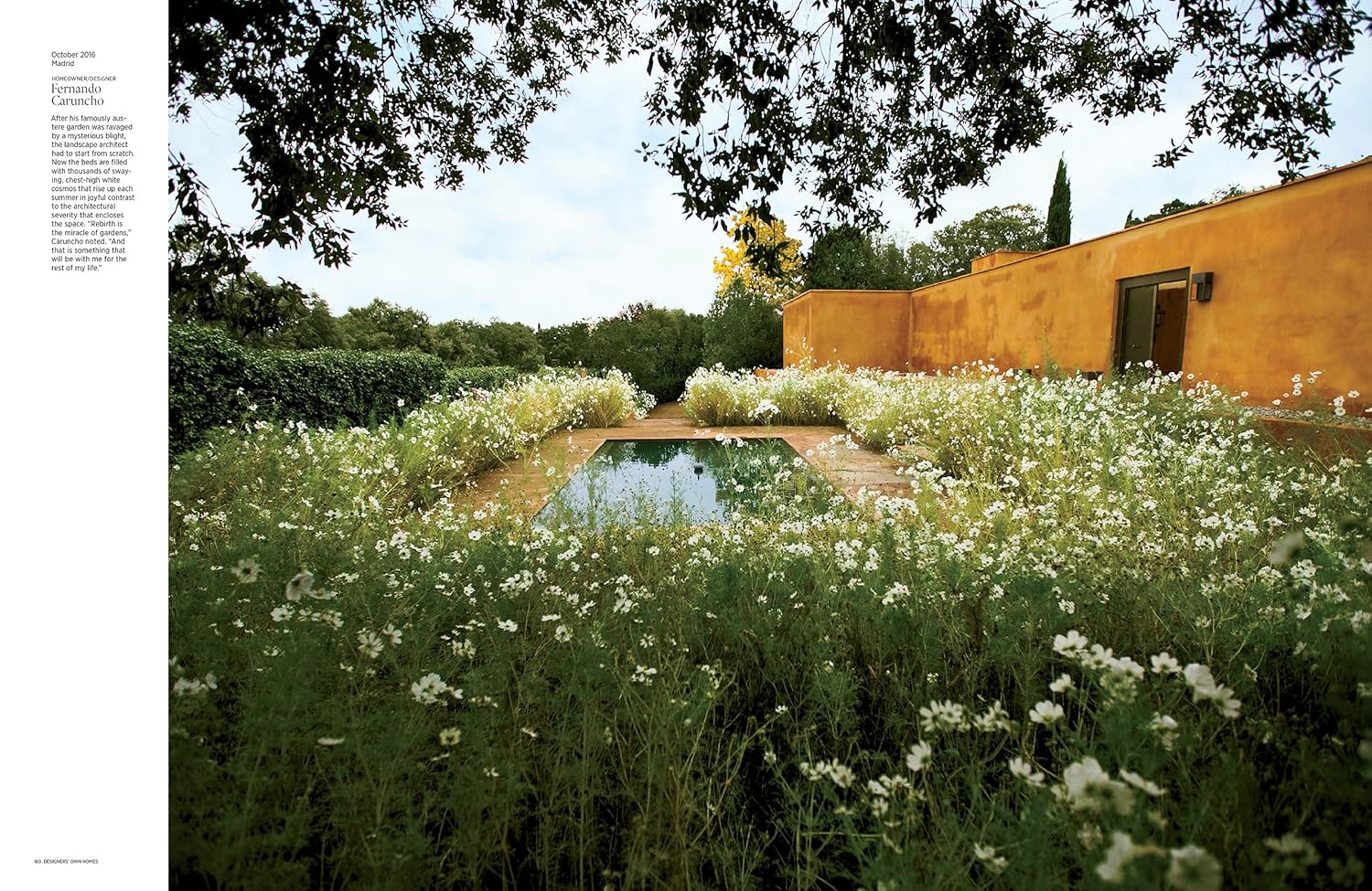 Architectural Digest at 100: The Collector's Edition - A Century of St