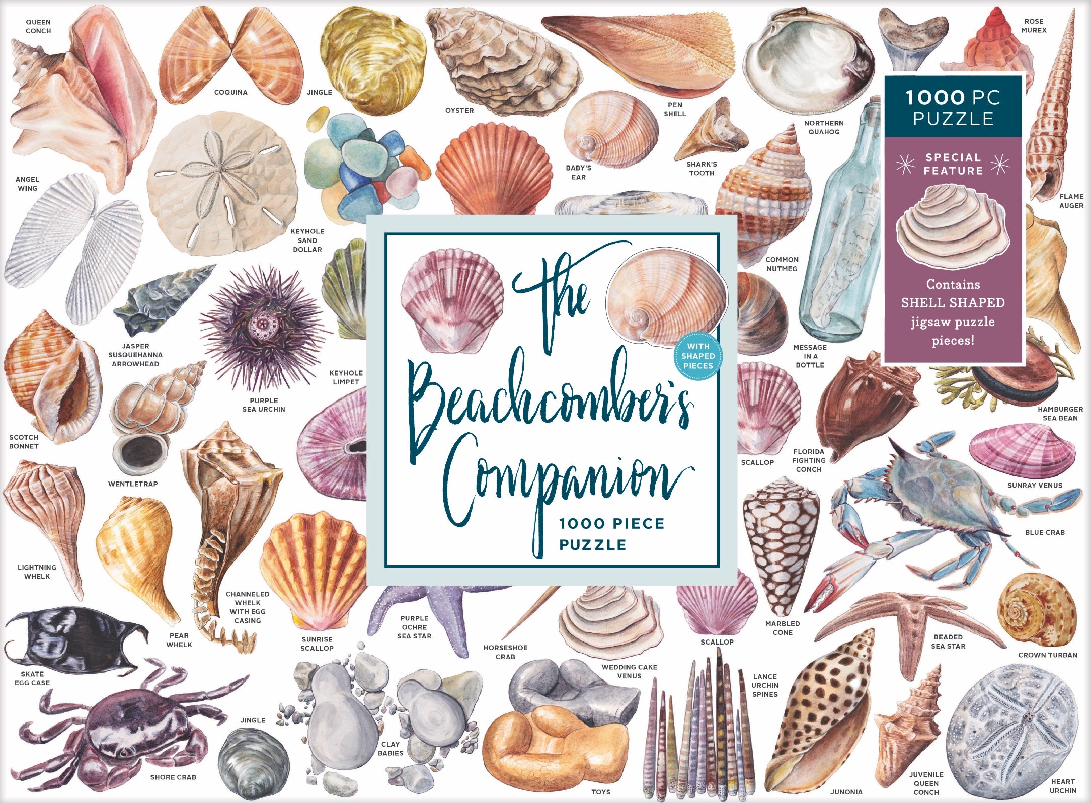 The Beachcomber's Companion 1000 Piece Puzzle With Shaped Pieces