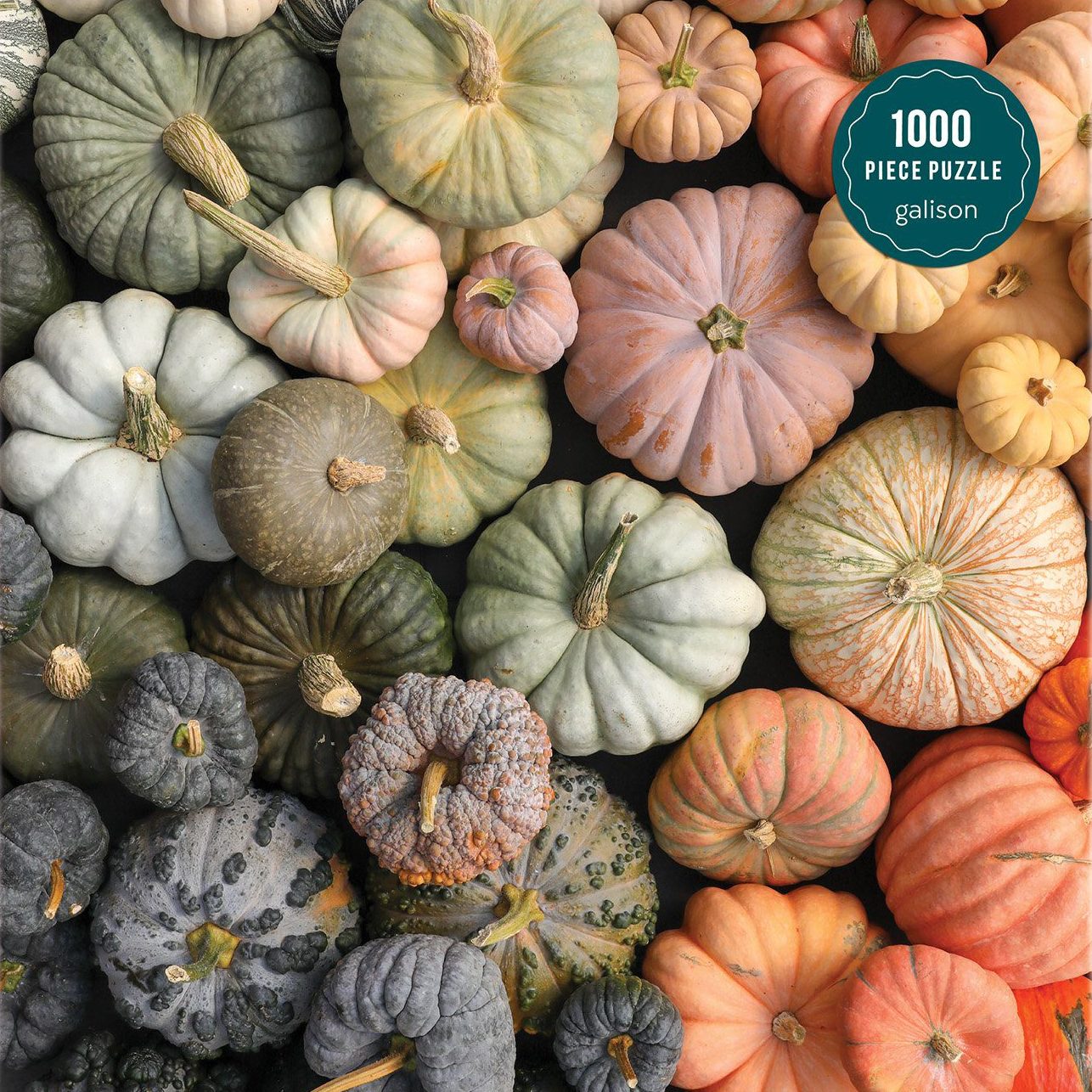 Heirloom Pumpkins 1000 Piece Puzzle