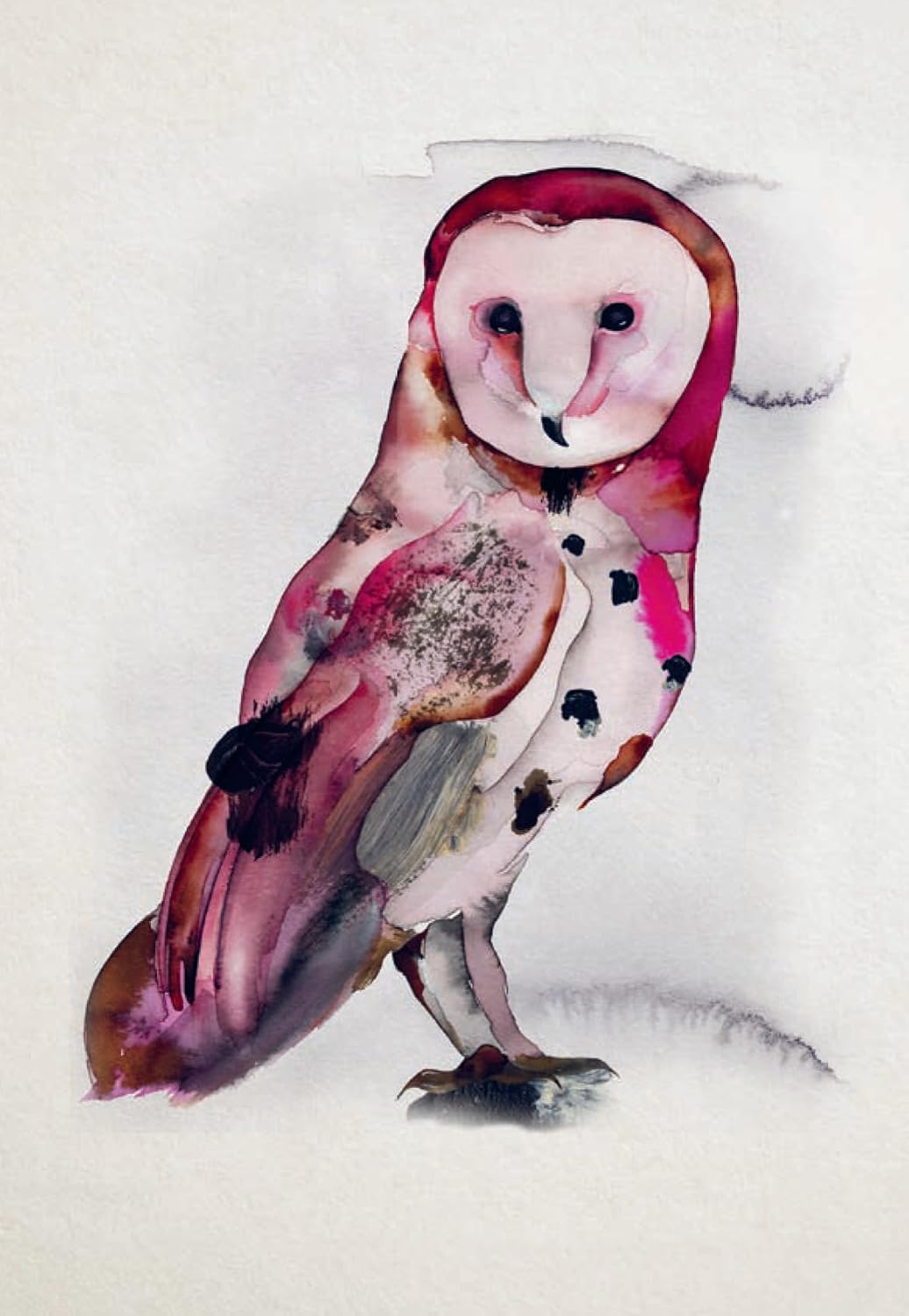 Bird Box - 100 Postcards by 10 Artists