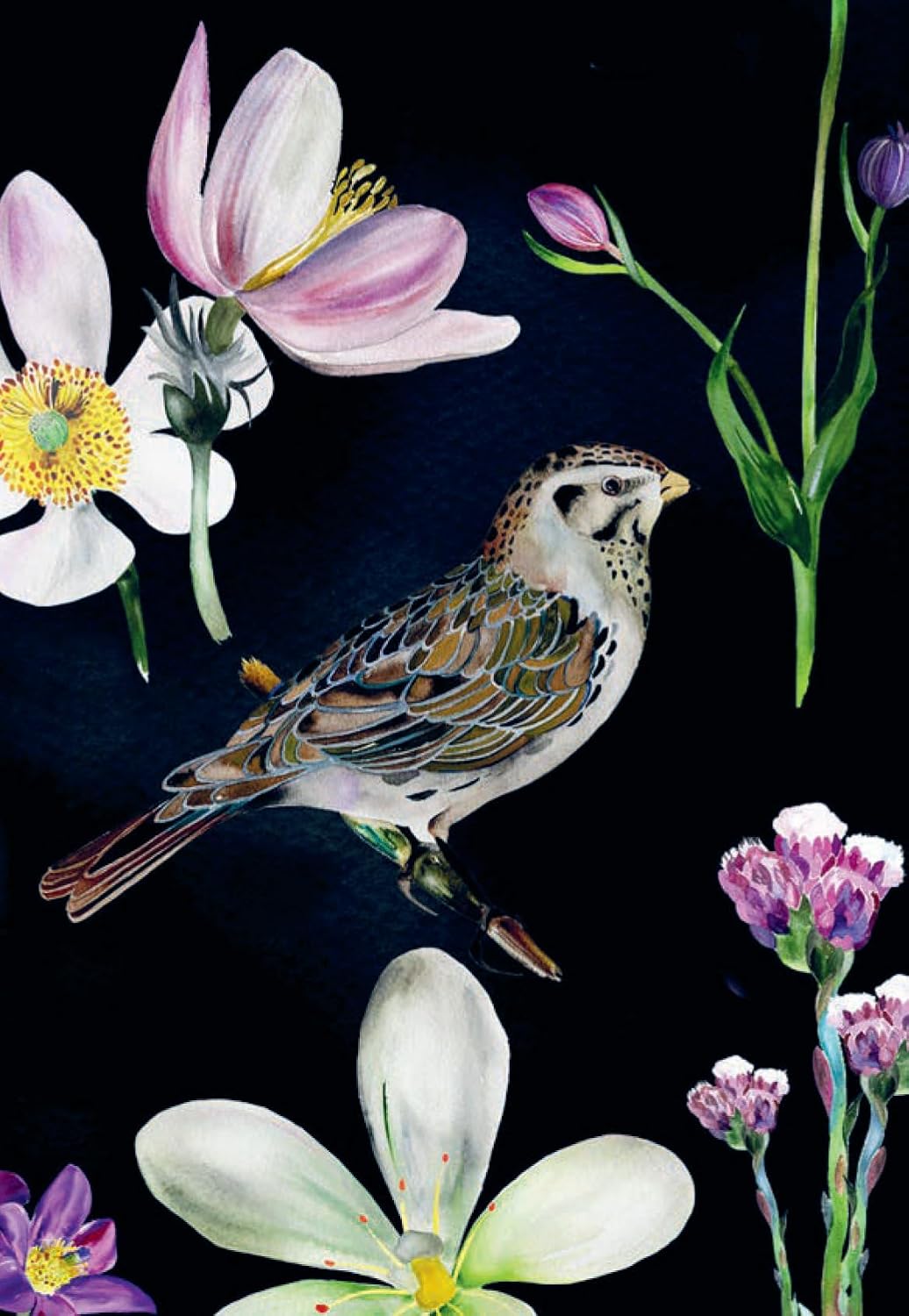 Bird Box - 100 Postcards by 10 Artists