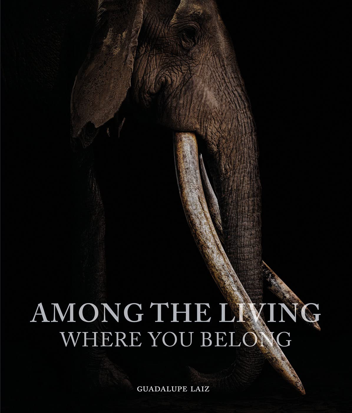 Among the Living - Where You Belong