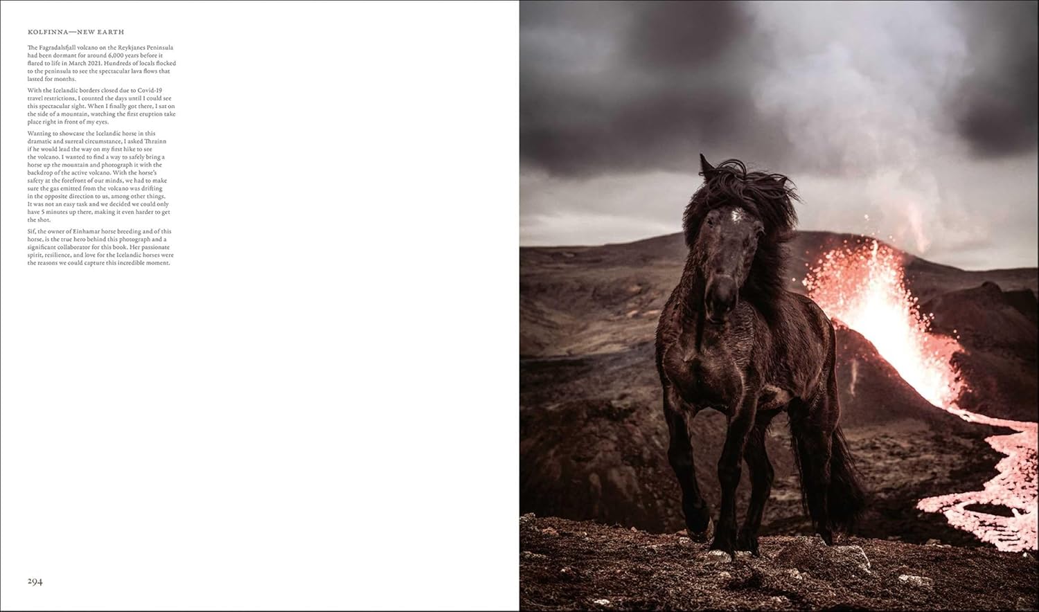 In the Land of Fire and Ice: Horses of Iceland