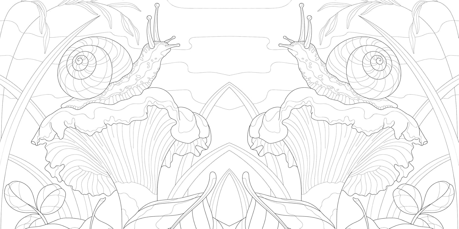 Magic Mushrooms Colouring Book